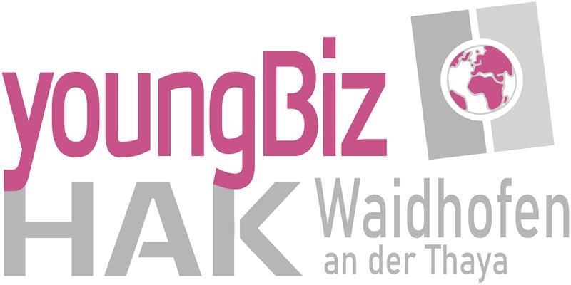 Logo für YoungBiz Handelsschule